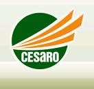 Probeef ureia 60 25kg