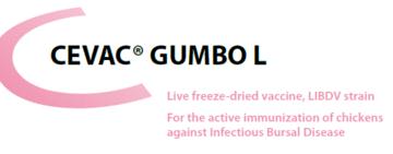Cevac gumbo l