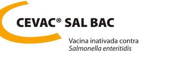 Vacina inativada contra salmonella enteritidis