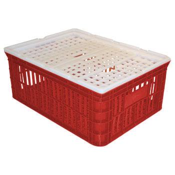 Caixas para frango vivo
