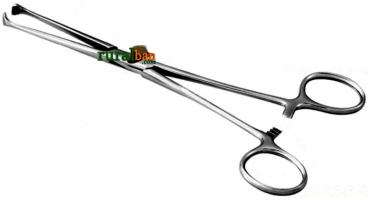 Pinca de allis 25 cm