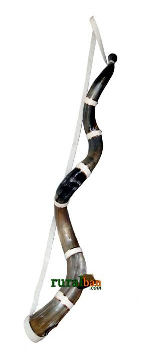 Berrante profissional - touro bandido