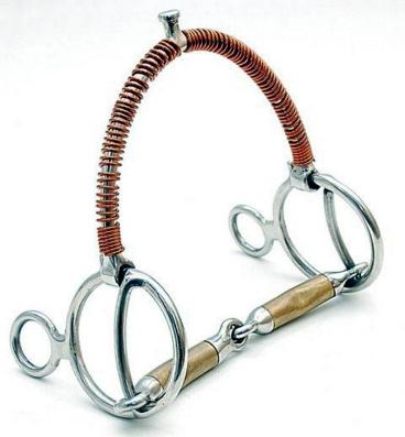Bridao professora inox