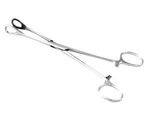 Pinca foerster reta 18cm