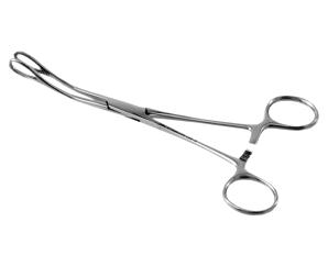 Pinca foerster curva 16cm