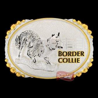 Fivela sumetal border collie c/ banho dourado e pr