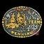 Fivela master premium team penning