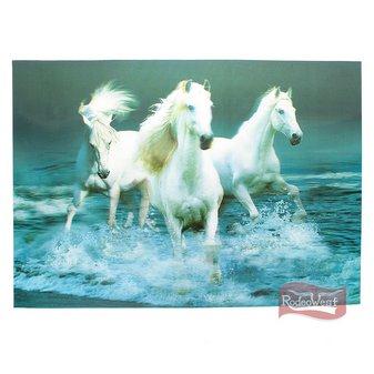 Poster efeito 3d - rodeo west