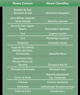 Tratamento de sementes industrial standak top