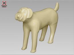 Cachorrinho expositor