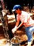 Resinagem de pinus elliottii - arrendamento