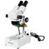 Microscópio estereoscópico (lupa) binocular, zoom