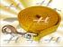 Cabo guia em nylon amarelo com mosquetao