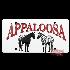 Placa decorativa de pvc appaloosa - rodeo west