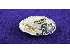 Fivela country touro - oval - cowboy brand