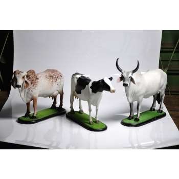 Miniatura de gado - vaca gir - artesanal