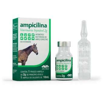 Ampicilina veterinária injetável