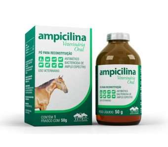 Ampicilina veterinária oral