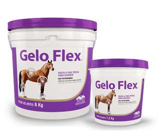 Gelo flex vetnil