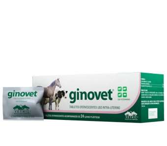 Ginovet vetnil