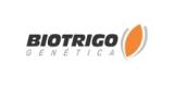 Sementes biotrigo