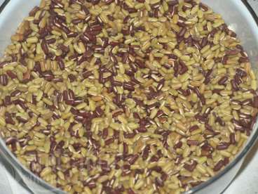 Feijao-arroz (vigna umbellata)