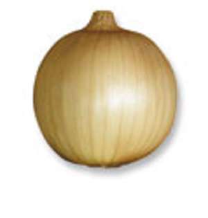 Cebola