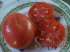 Tomate rosa de berna