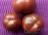 Tomate boars hoof