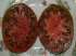 Tomate krim preto