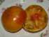 Tomate old german