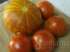 Tomate tigerella