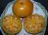 Tomate yellow amish