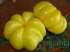 Tomate yellow ruffled