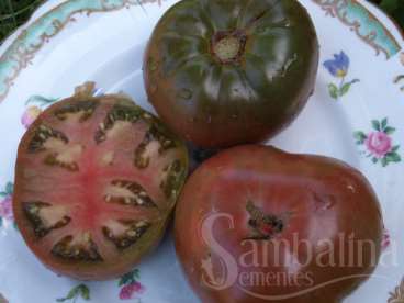 Tomate cherokee purple