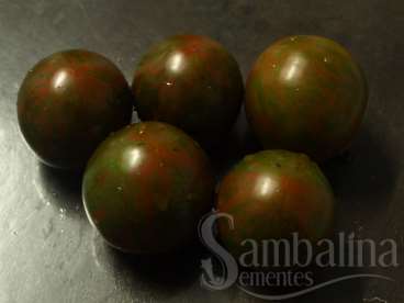 Tomate italiano de vinhedo