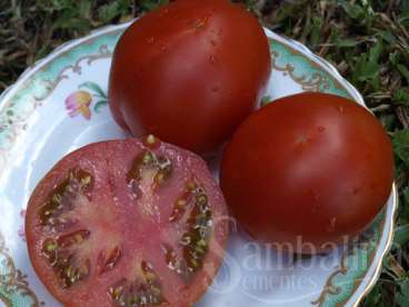 Tomate preto do kasachstan