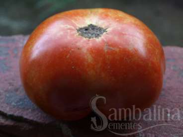 Tomate gigante de linhard