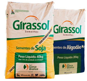 Semente de soja gb 874rr fundacao mt