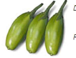 Jiló comprido verde claro