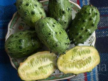 Kiwano ou kino