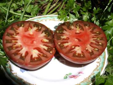 Tomate sari lilás