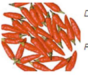 Pimenta malagueta