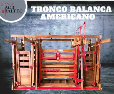 Acb balte - tronco americano balanca