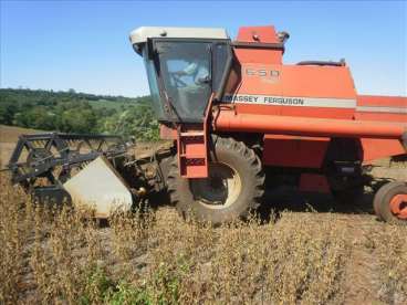 Colheitadeira mf 5650 - 20/00 - massey ferguson