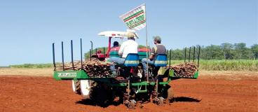 Plantadeiras de mandioca bazuca 2 linhas - plata