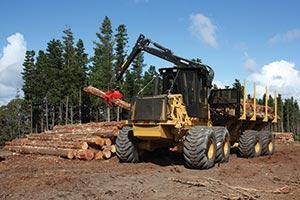 Forwarder 584