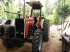 Trator massey 290 ano 1989