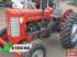 Trator massey ferguson 55 x 4x2 ano 75