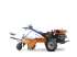 Setor aviário micro-trator budny